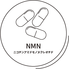 NMN（ニコチンアミドヌクレオチド）
