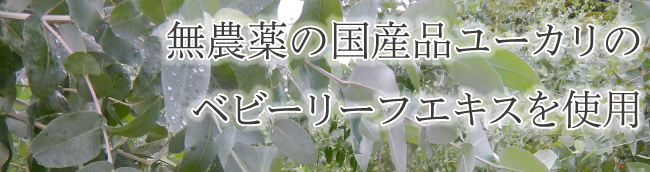 無農薬の国産品ユーカリのベビーリーフ（3年以内の若木から採取した葉）エキスを使用